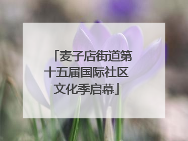 麦子店街道第十五届国际社区文化季启幕